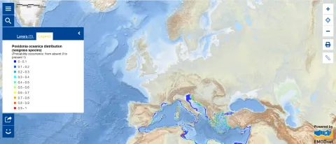 Map of the Week – Seagrass Meadows - Posidonia oceanica