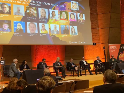 Roundtable panel discussion on the implementation of the UN Ocean Decade's Ocean Digital Ecosystem ©OP24
