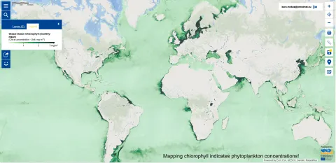 Map of the Week: Springtime Surge - Phytoplankton Blooms - Global Ocean Chlorophyll 