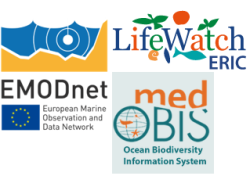 Participating organisations Logos