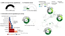 Main results of the two research papers using the EMODnet data. ©Juliette Aminian-Biquet