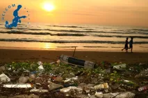 EMODnet Chemistry ingested, harmonised and validated 2016-2021 data collected on 141 beaches bordering the Baltic Sea.