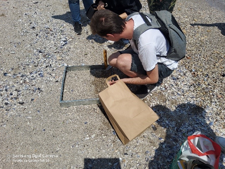 Monitoring beach litter as part of the EUROqCHARM project